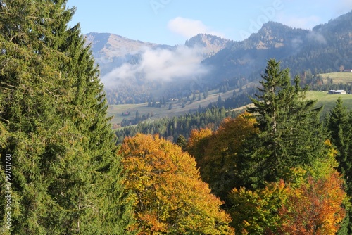 Auf dem Nagelfluh-Schichtkamm in Oberstaufen sind bereits Laubbäume herbstlich verfärbt. Dahinter sind das Lanzenbachtal und hinter Nebel die Hochgratkette zu sehen.