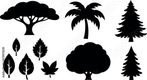 Silhouette tree and leaf shapes collection with various tropical and evergreen designs for nature projects and decoration vector illustration