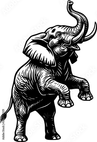elephant vector illustration