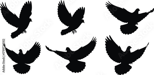 PrintFlying bird silhouettes, black pigeon icons, dove in motion, white background, wing spread poses, bird flight shapes, minimal animal graphics