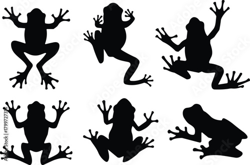 PrintFrog silhouettes, black vector frogs, amphibian poses, animal illustration, biology reference, jumping frogs, crouching frogs, nature icon, wildlife, design element