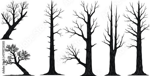 PrintLeafless tree silhouette set, black vector trees, branching structure, nature illustration, minimal design, botanical graphic, landscape art, outdoor icon