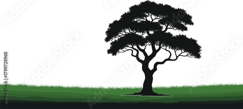 PrintTree silhouette on grassy hill, wide canopy shape, black nature art, landscape design, botanical illustration, outdoor scene, minimal vector