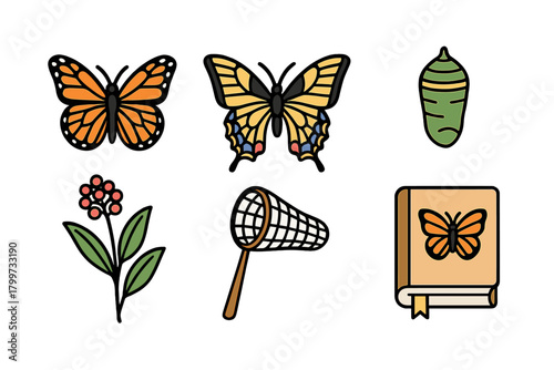 Colorful butterfly life cycle stages and entomology tools including net, chrysalis, and nature book