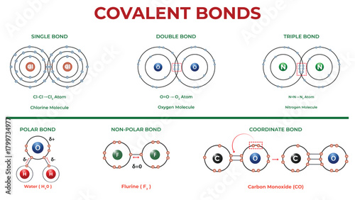 Covalent Bonds Vector Illustration with Simple Scientific Diagram