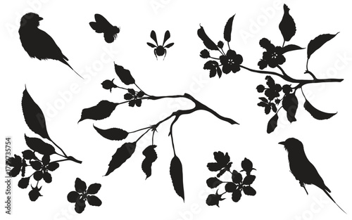 Black line silhouette, apple branch, bee, birds. Blooming branch of sakura apple tree with bee and birds.