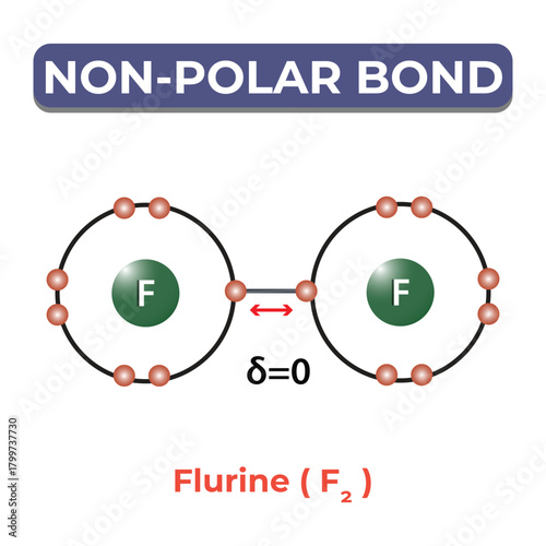 Non Polar Bond Molecular Structure Education Graphic