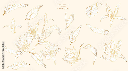 Tropical magnolia flowers branch. Beautiful golden line illustration.