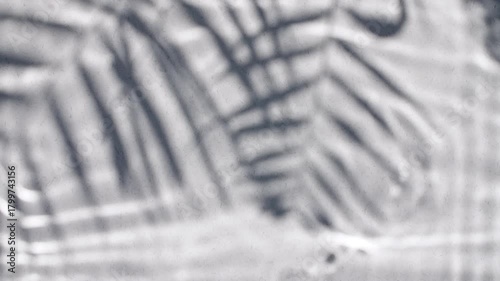 Tropical palm leaves and reflections sunlight in slow motion. Drop shadow effect with wave refraction of light. Sun and shadows. Layout for advertising goods, cosmetic products. High quality 4k 