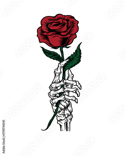 A skeleton hand with bony fingers gently holding a single blooming red rose, isolated on a white background.