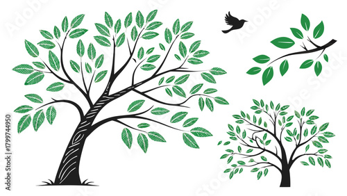 Stylized Foliage and Nature Graphics