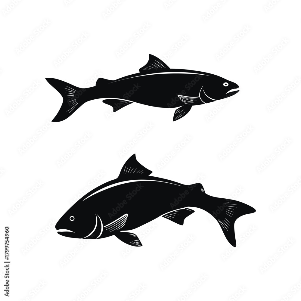 Fototapeta premium shark vector illustration - Shark vector silhouette on white background 