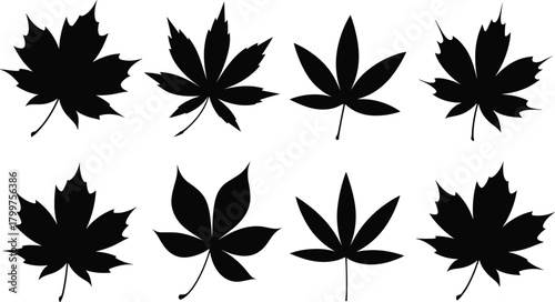 Silhouettes of assorted leaf shapes, botanical foliage icons, autumn leaf collection, nature illustration set, diverse tree leaves for seasonal design