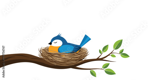 A little blue bird rests peacefully in its cozy nest on a leafy branch.