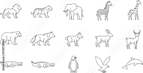 Collection of Outline Wild Animals Keywords: lion, tiger, elephant, zebra, giraffe, bear, wolf