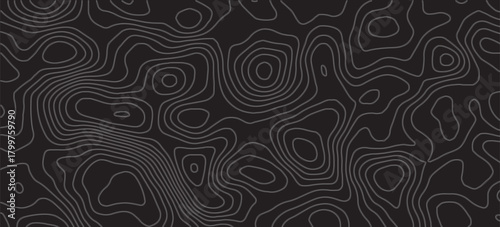 The stylized height of the topographic contour in lines and contours. The concept of a conditional geography scheme and the terrain path. Ultra wide size. Gray on green colors. Vector illustration.