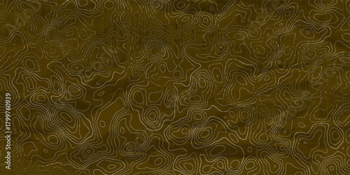 Untitled-Abstract Topographic maps Pattern gold contour line Banner in texture black Background