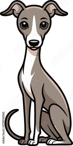  Cute cartoon a illustrator vector ltalian greyhound