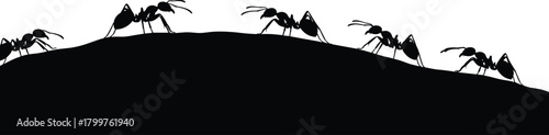 Ants walking on ground silhouette illustration, teamwork and cooperation concept, insect colony movement vector design, black and white nature wildlife graphic element
