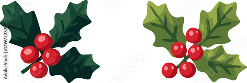 2 sets of green holly leaves and red berries, vector graphic illustration