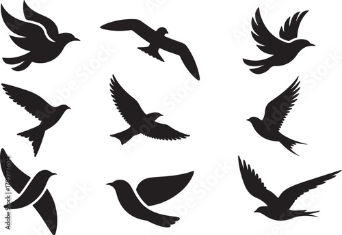 Flying Bird Silhouettes Set, 9 Vector Icons for Freedom, Travel And Nature Projects, Freedom Bird Collection, Scalable Vector for Posters, Websites And Marketing Materials.