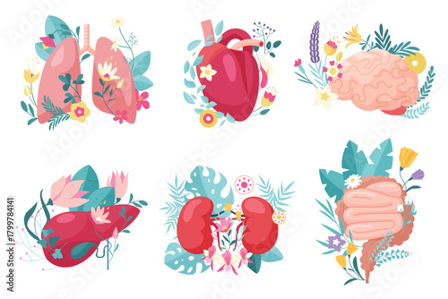 Human anatomy, internal organs with flowers and plants set. Lungs and heart, brain and kidneys, large and small intestines, liver and gall bladder with floral decoration cartoon vector illustration