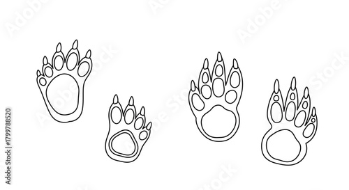 Wildlife paw prints design, depicting animal tracking with unique toe configurations