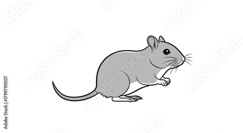 Whimsical illustration of a gray mouse on a white background with fine details