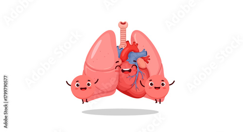 Whimsical illustration of healthy human organs with cheerful expressions animation