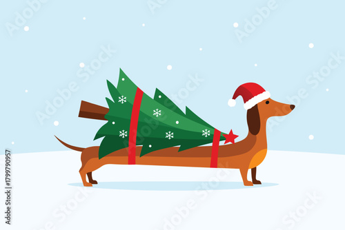 Charming dachshund dog carrying christmas tree through snowy winter scene, cute vector illustration for the holidays