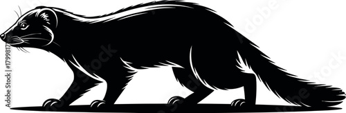 Black animal walking vector mammal illustration