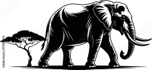 Majestic elephant walking savanna acacia tree wildlife