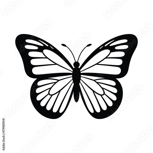 Elegant black and white butterfly illustration with detailed wings