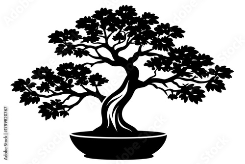Bonsai Tree