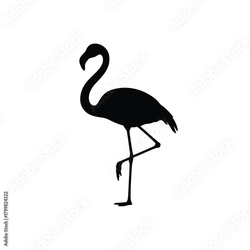 Black silhouette of a flamingo standing on one leg isolated on white