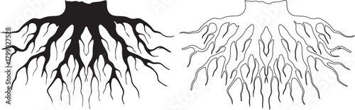 Roots vector shape line, tree underground 