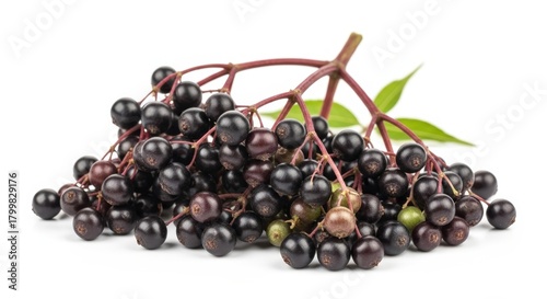 A close-up shot of a cluster of ripe, dark elderberries on their stems with a few green leaves, isolated on a white background.