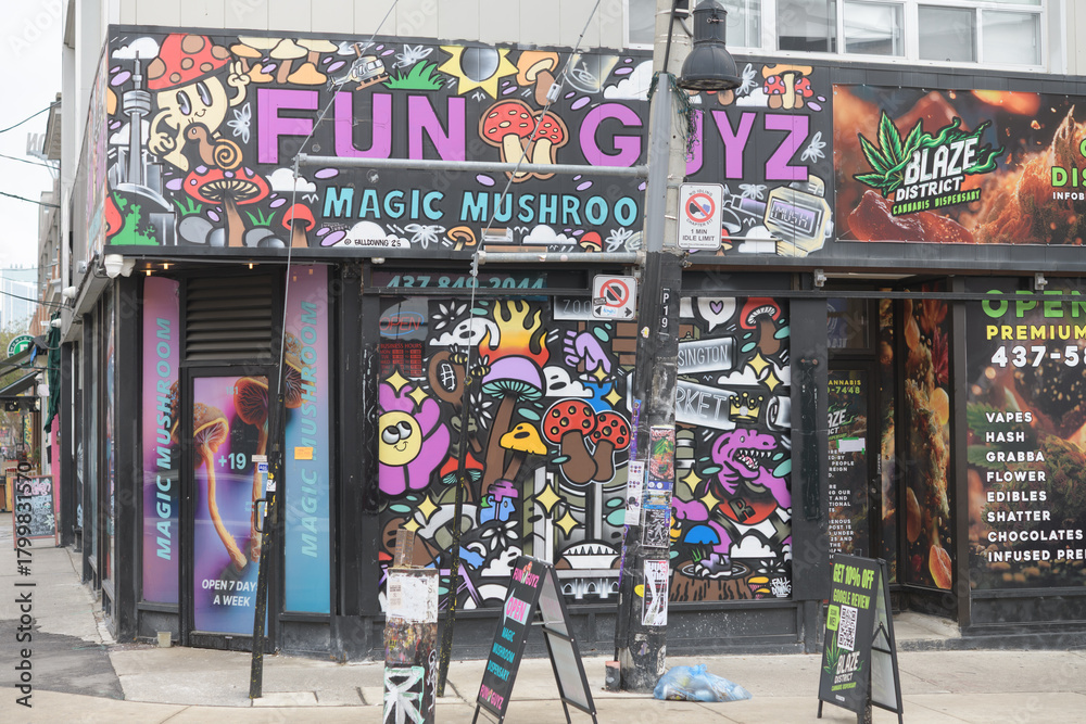 Naklejka premium exterior building facade and painted sign of FUNGUYZ - Magic Mushrooms Dispensary, a herbal medicine store, located at 181 Baldwin St, Kensington Market, Toronto