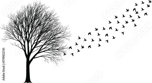 Leafless tree silhouette, flying birds, flock movement, nature illustration, freedom concept, transformation art, minimal design, black outline, migration, change, passage of time,