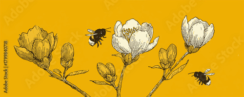 A yellow and white flower with three bees on it. Concept of harmony and balance between the bees and the flower