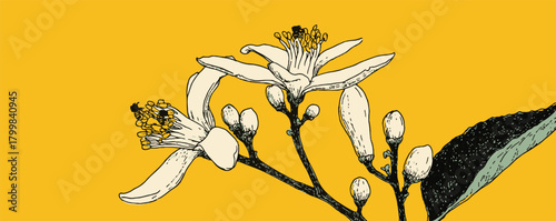 A yellow flower with two white flowers on it. The flowers are surrounded by leaves. The image has a peaceful and calming mood