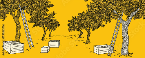 A yellow background with a drawing of a ladder and a tree. The ladder is leaning against a tree and there are several boxes in the foreground