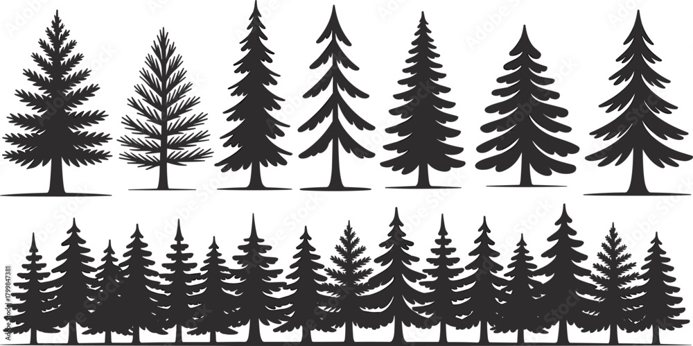 Obraz premium Coniferous tree silhouette set with pine and fir shapes, plus dense forest scene in black vector style