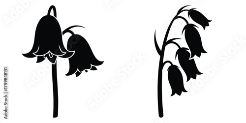 bluebell stem silhouette flowers isolated on transparent background