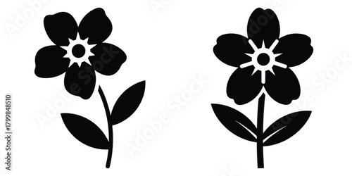 forget me not silhouette flowers isolated on transparent background