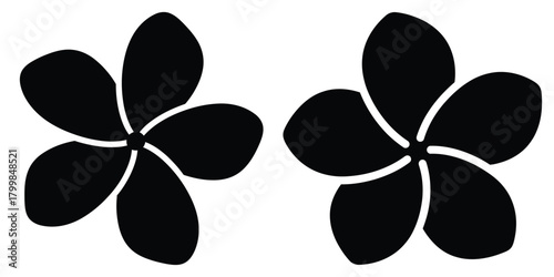 frangipani blossom silhouette flowers isolated on transparent background