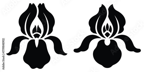 iris blossom silhouette flowers isolated on transparent background
