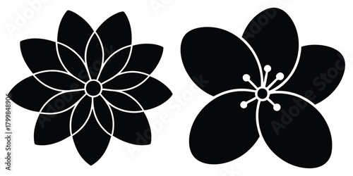 jasmine silhouette flowers isolated on transparent background