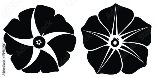 moon blossom silhouette flowers isolated on transparent background