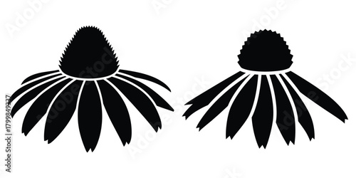 prairie cone silhouette flowers isolated on transparent background